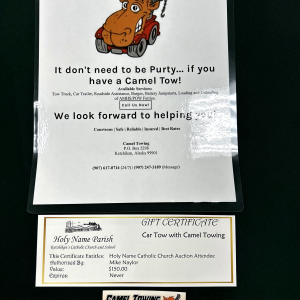 Car Tow with Camel Towing