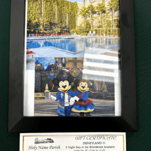 Disneyland Adventure!