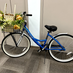 LA Jolla Street Cruiser bicycle
